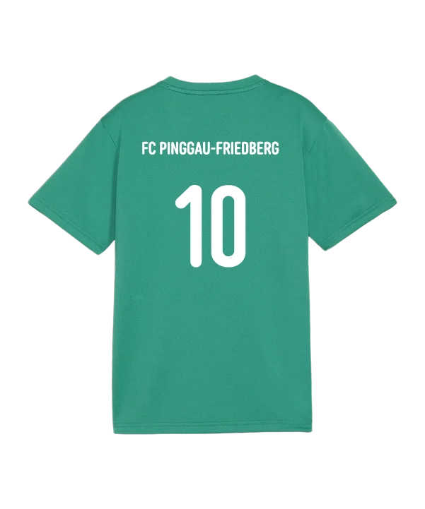 PUMA teamGOAL Trikot Kids Grün FC Pinggau-Friedberg Trainingsshirt Kinder
