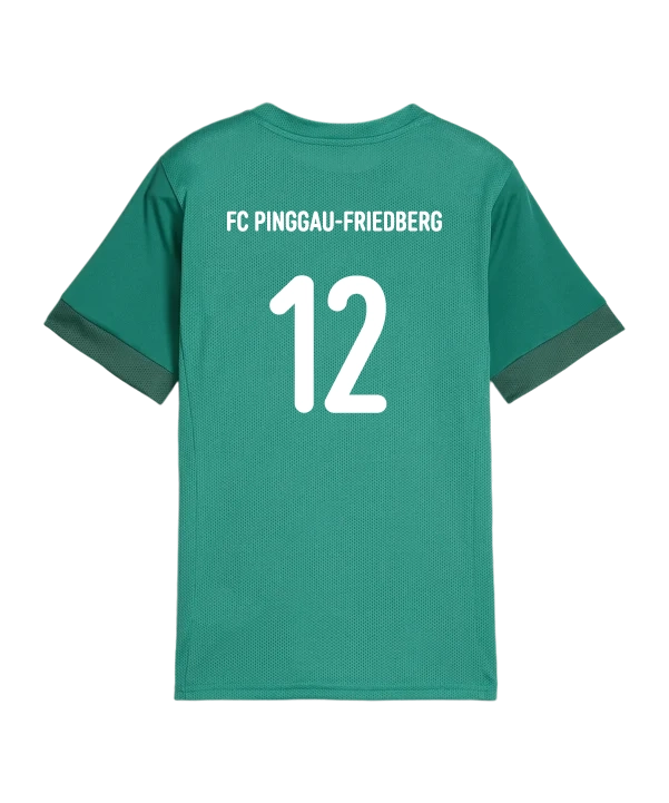 PUMA teamGOAL Matchday Trikot Kids Grün FC Pinggau-Friedberg