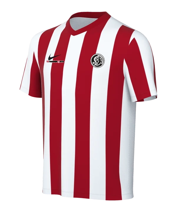 NIKE Division V Striped Trikot Kids Weiss SV Deutsch Goritz