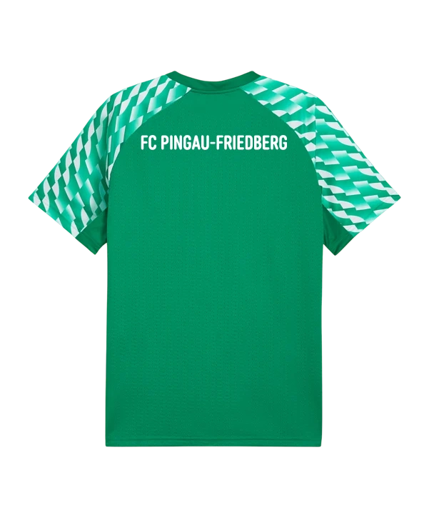 PUMA teamLIGA26 Trikot Kids Grün FC Pinggau-Friedberg