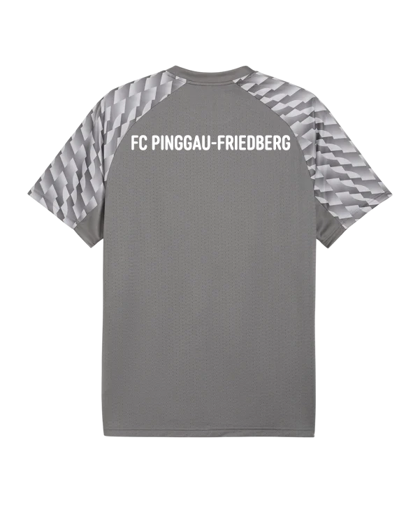 PUMA teamLIGA26 Trikot Grau FC Pinggau-Friedberg