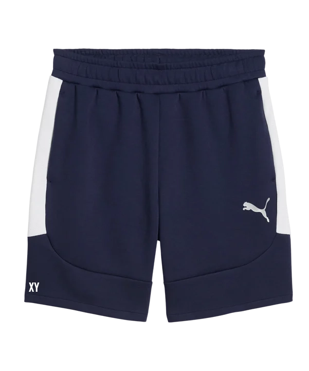 PUMA teamEVOSTRIPE Short Blau ATSV Zipf