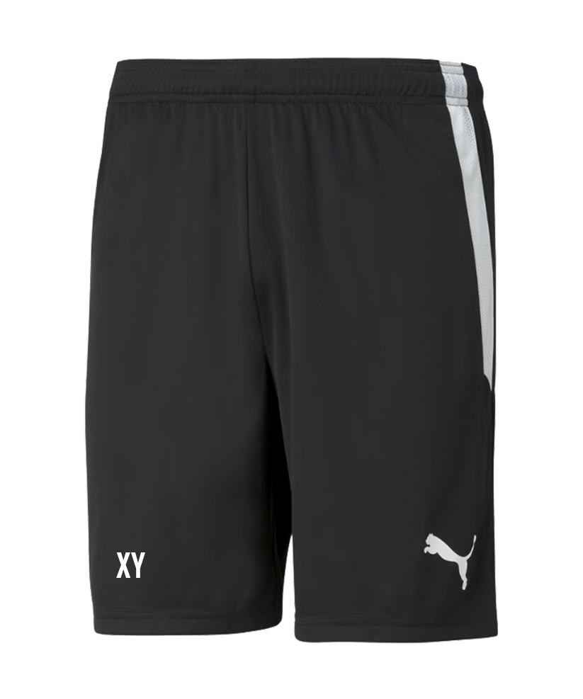 PUMA teamLIGA Short Schwarz Weiss SV Trieben