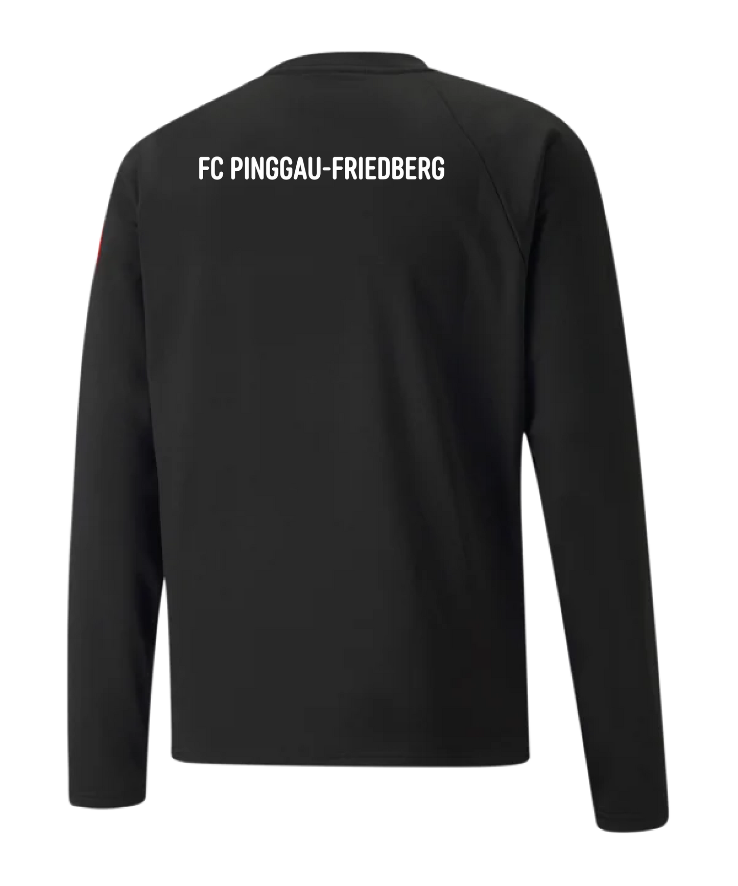 PUMA teamLIGA Training Sweatshirt Kids Schwarz FC Pinggau-Friedberg