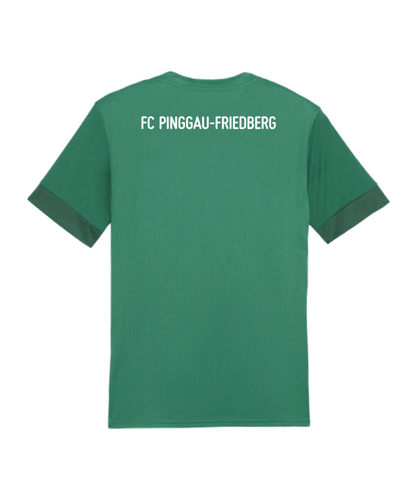 PUMA teamGOAL Trikot Kids Grün FC Pinggau-Friedberg