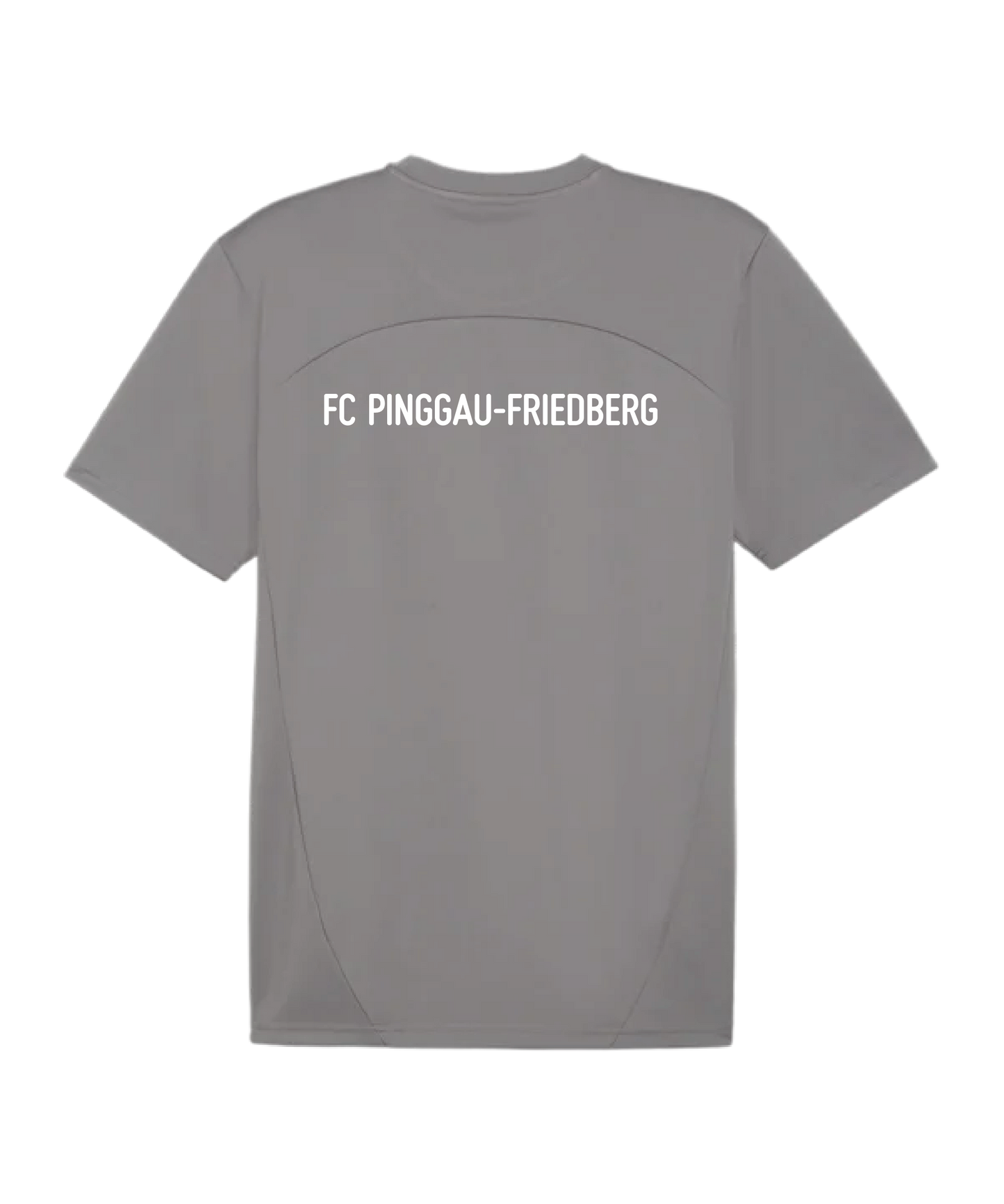 PUMA teamFINAL Trikot Grau FC Pinggau-Friedberg