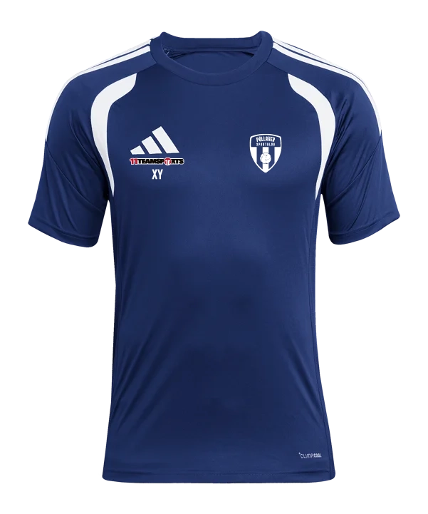 ADIDAS Tiro 26 Trikot Blau Pöllauer Sportklub