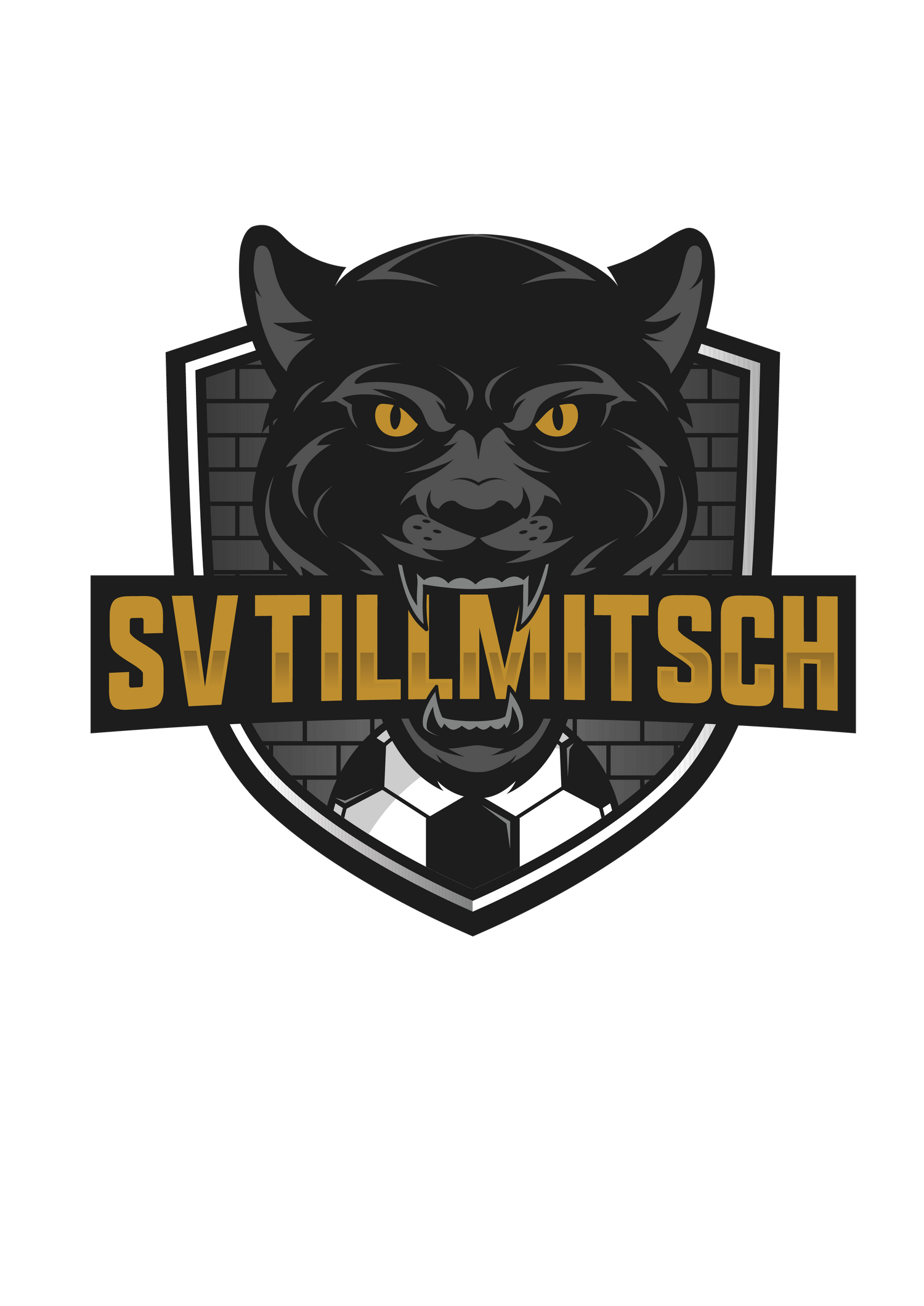 SV Tillmitsch Young Panthers