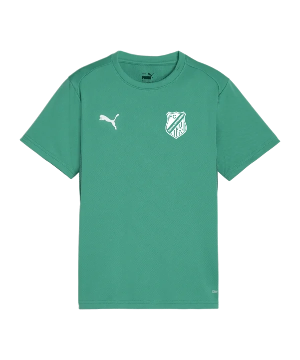 PUMA teamGOAL Trikot Kids Grün FC Pinggau-Friedberg Trainingsshirt Kinder