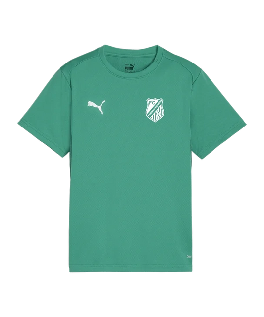 PUMA teamGOAL Trikot Kids Grün FC Pinggau-Friedberg Trainingsshirt Kinder