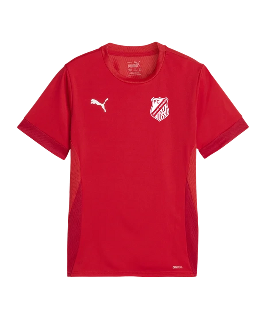 PUMA teamGOAL Matchday Trikot Kids Rot Weiss Union Gschwandt