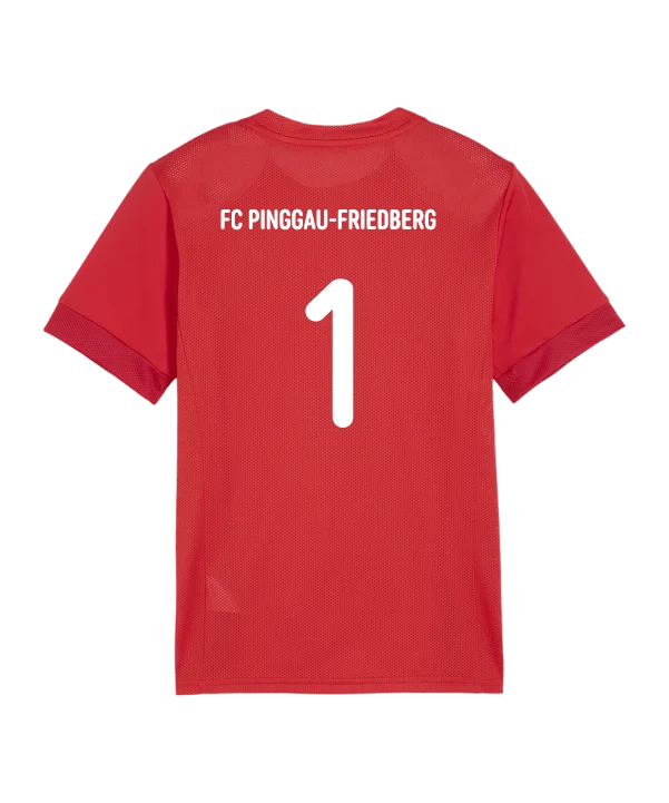 PUMA teamGOAL Matchday Trikot Kids Rot Weiss Union Gschwandt
