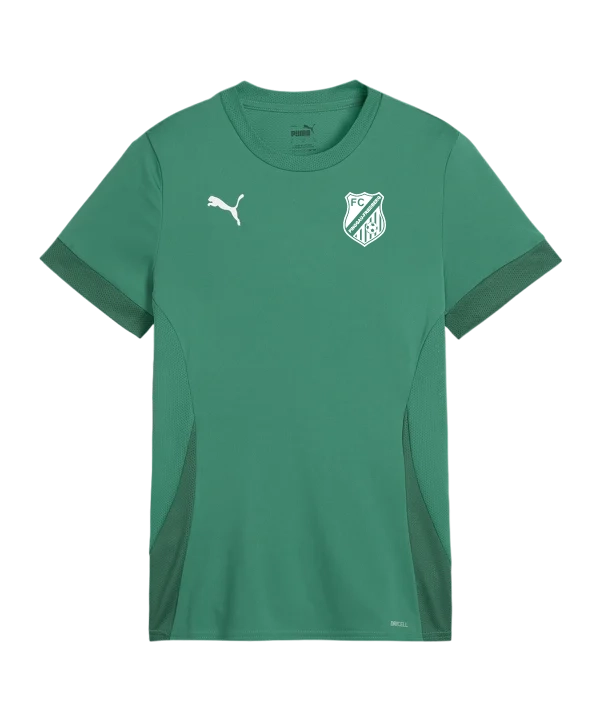 PUMA teamGOAL Matchday Trikot Kids Grün FC Pinggau-Friedberg