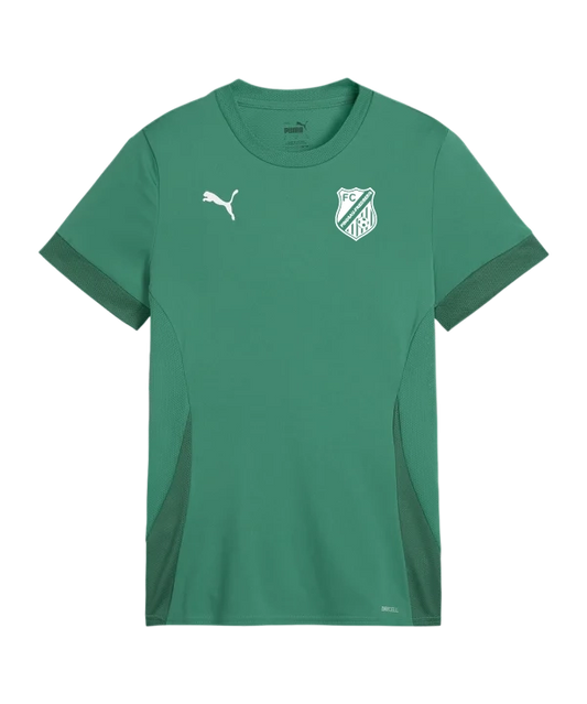 PUMA teamGOAL Matchday Trikot Kids Grün FC Pinggau-Friedberg
