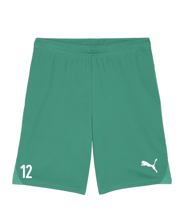 PUMA teamGOAL Short Grün Weiss FC Pinggau-Friedberg