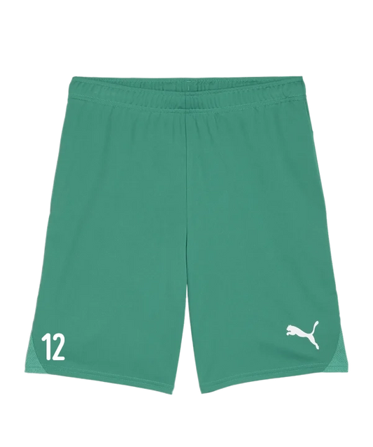 PUMA teamGOAL Short Grün Weiss FC Pinggau-Friedberg