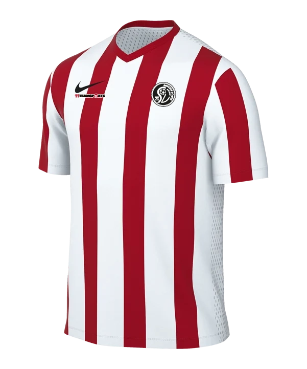 NIKE Division V Striped Trikot Weiss SV Deutsch Goritz