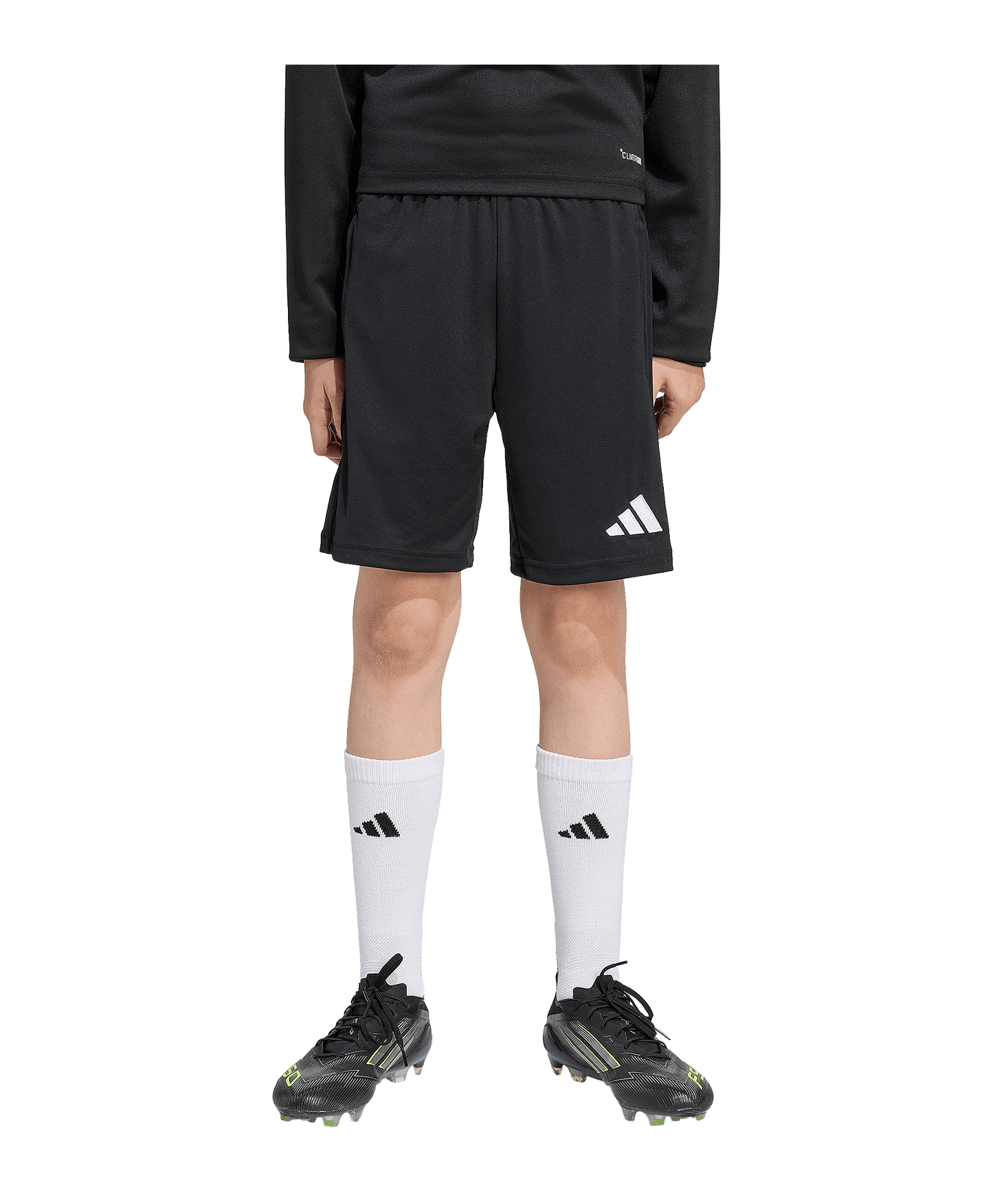 ADIDAS Entrada 26 Training Short Kids Schwarz
