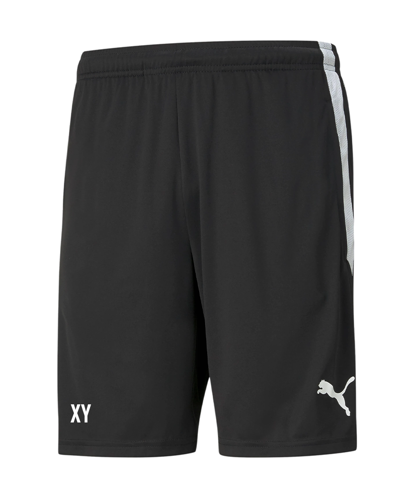 PUMA teamLIGA Training Short Schwarz SV Trieben