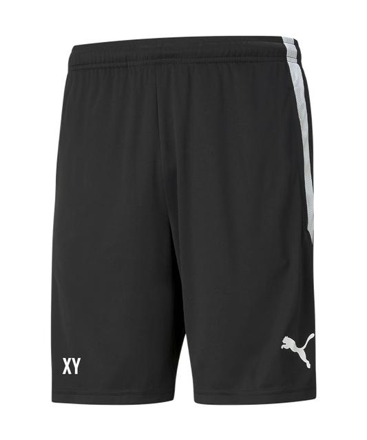 PUMA teamLIGA Training Short Schwarz SV Trieben