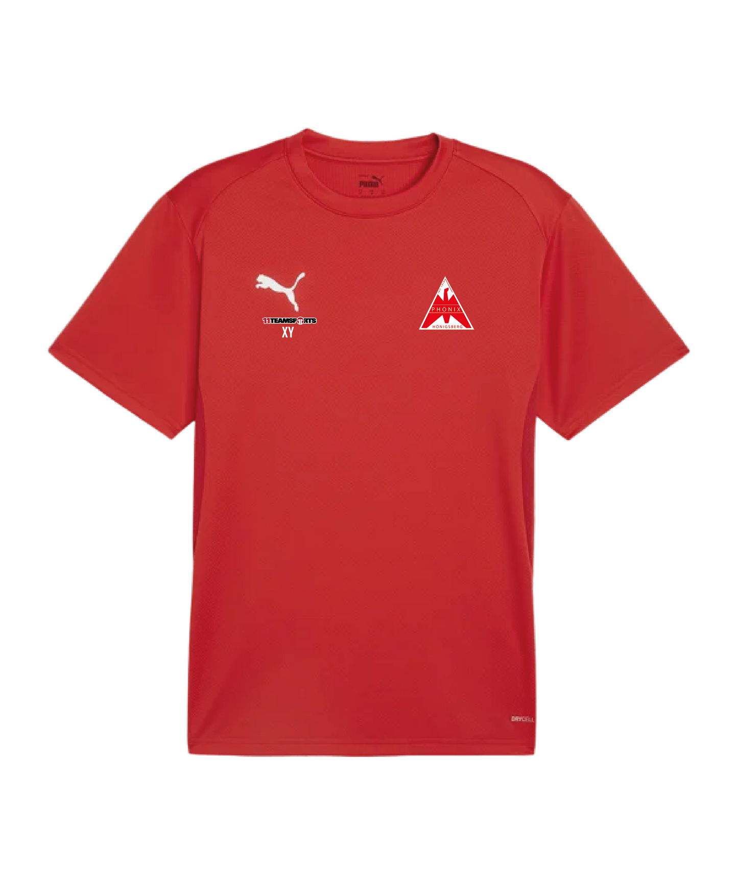PUMA teamGOAL Trikot Kids Rot SV Phönix Hönigsberg Mürzzuschlag
