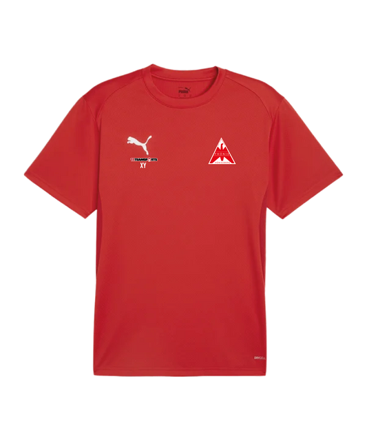 PUMA teamGOAL Trikot Kids Rot SV Phönix Hönigsberg Mürzzuschlag