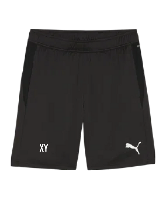 PUMA teamGOAL Training Shorts Kids Schwarz SV Phönix Hönigsberg Mürzzuschlag