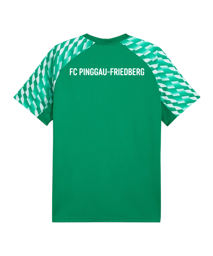 PUMA teamLIGA26 Trikot Grün FC Pinggau-Friedberg