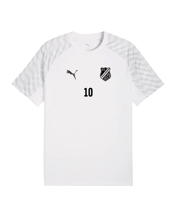 PUMA teamLIGA26 Trikot Kids Weiß FC Pinggau-Friedberg