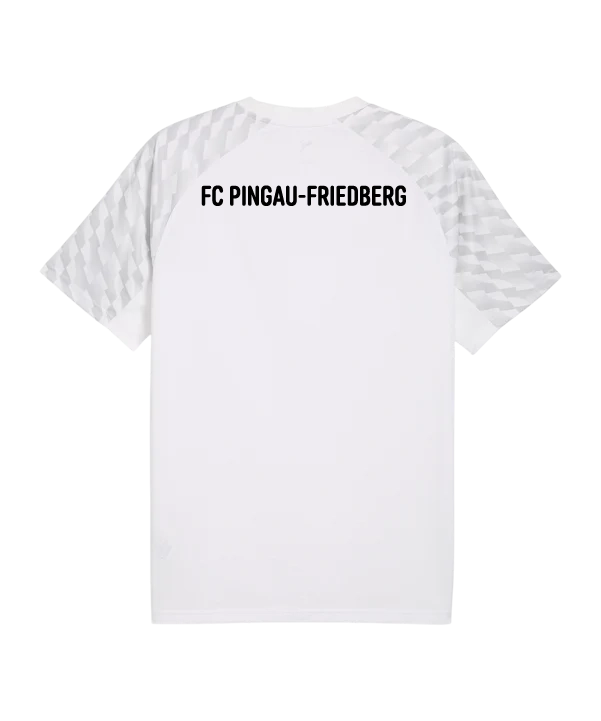 PUMA teamLIGA26 Trikot Kids Weiß FC Pinggau-Friedberg