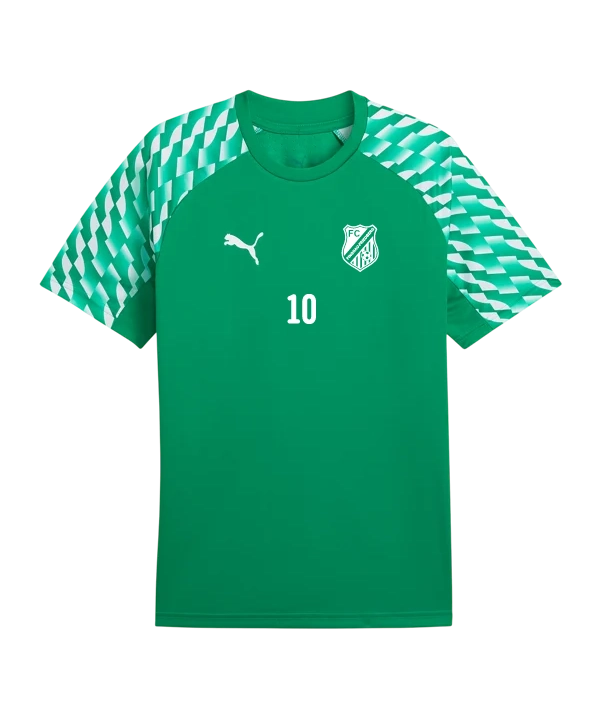 PUMA teamLIGA26 Trikot Kids Grün FC Pinggau-Friedberg