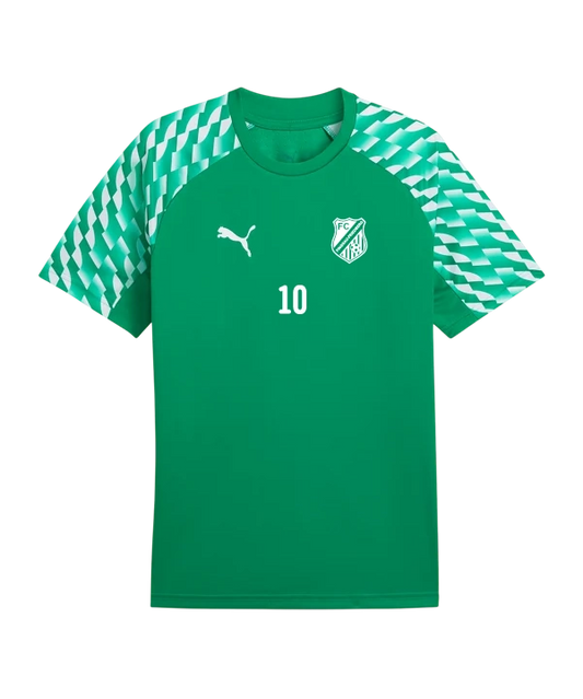 PUMA teamLIGA26 Trikot Kids Grün FC Pinggau-Friedberg