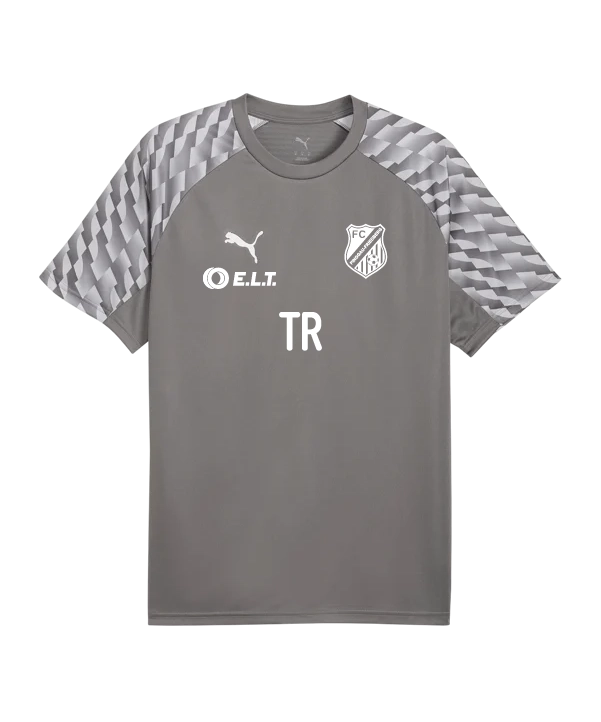 PUMA teamLIGA26 Trikot Grau FC Pinggau-Friedberg