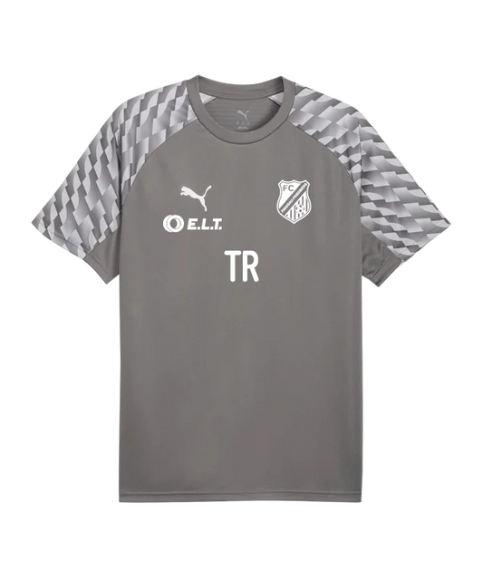 PUMA teamLIGA26 Trikot Grau FC Pinggau-Friedberg