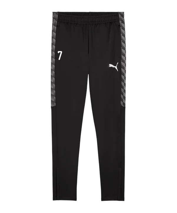 PUMA teamLIGA26 Trainingshose Schwarz FC Pinggau-Friedberg