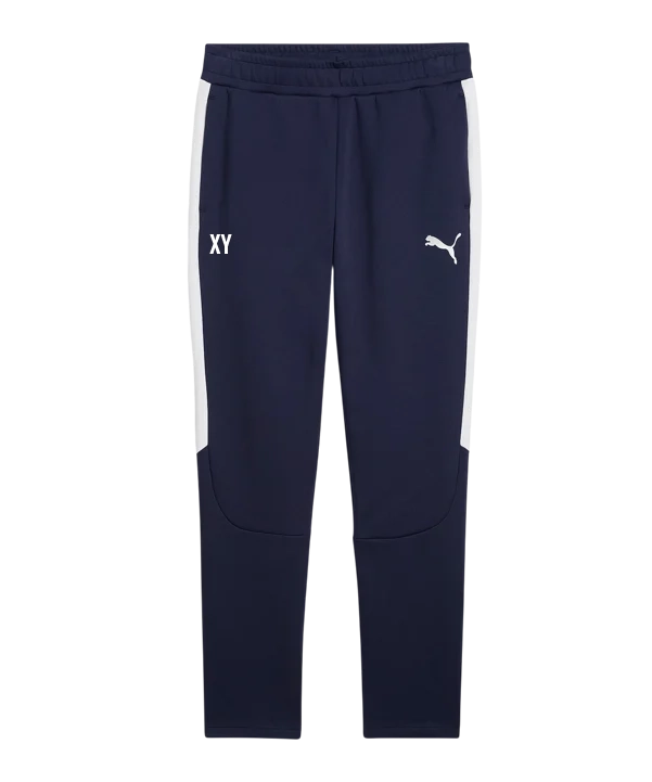 PUMA teamEVOSTRIPE Trainingshose Blau ATSV Zipf