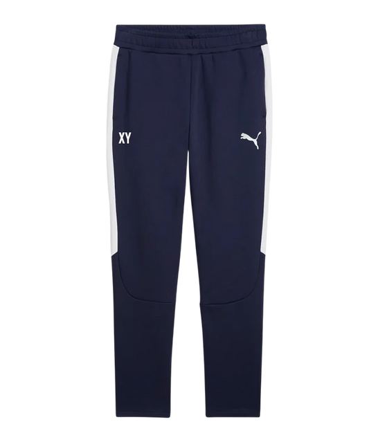 PUMA teamEVOSTRIPE Trainingshose Blau ATSV Zipf