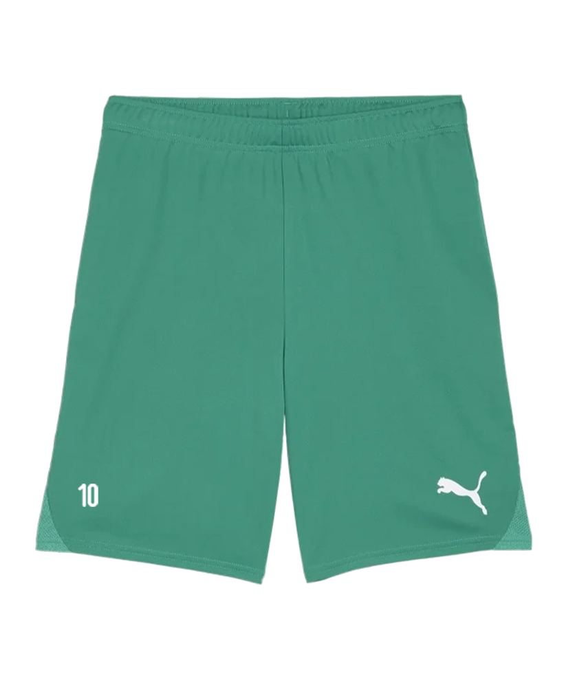 PUMA teamGOAL Short Grün Weiss Kids FC Pinggau-Friedberg