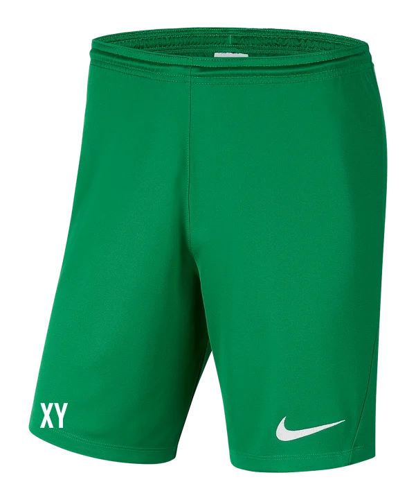 NIKE Nike Park III Short Grün SV Grün-Weiß Micheldorf