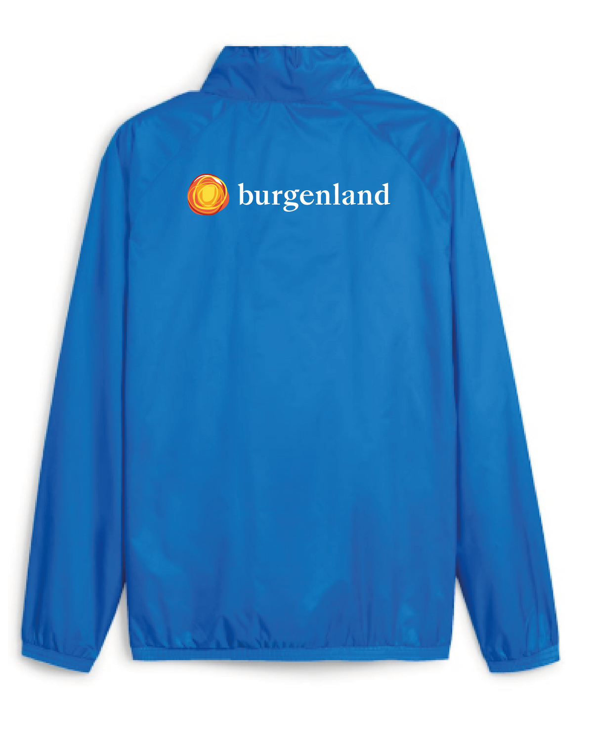 PUMA teamGOAL Allwetterjacke Blau Weiss BFV