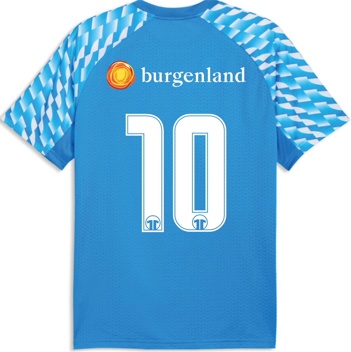 PUMA teamLIGA26 Trikot Kids Blau BFV