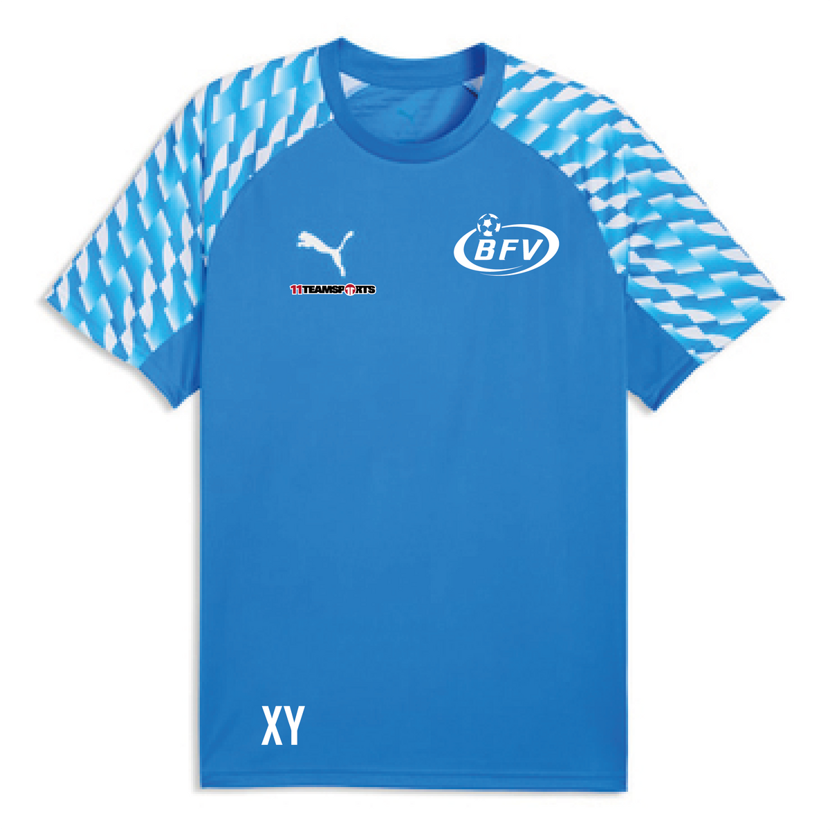 PUMA teamLIGA26 Trikot Blau BFV