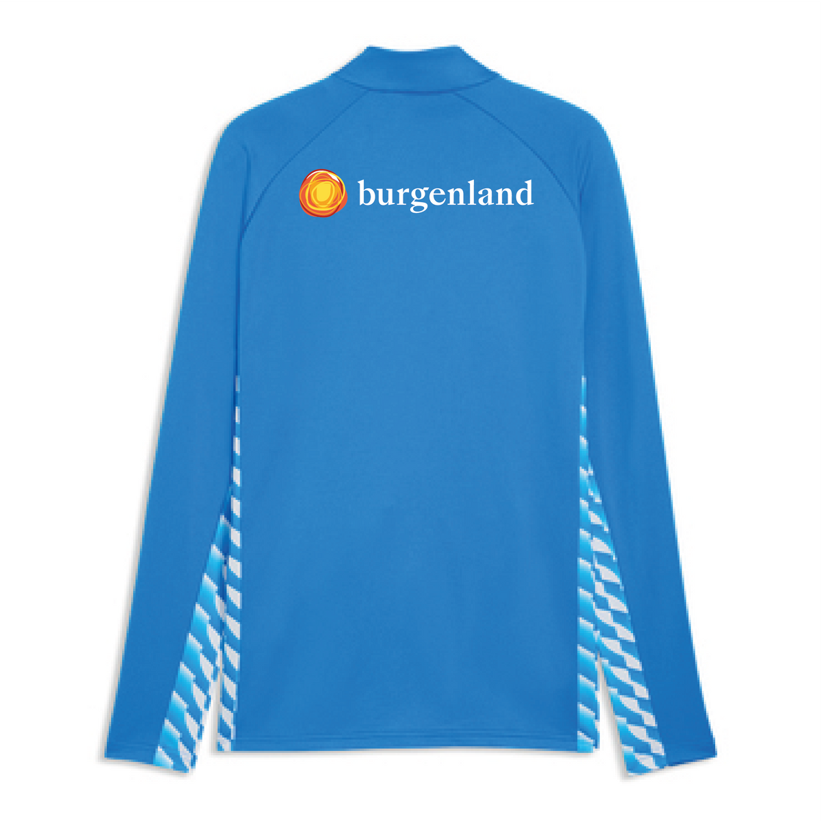 PUMA teamLIGA26 Trainingsjacke Blau BFV