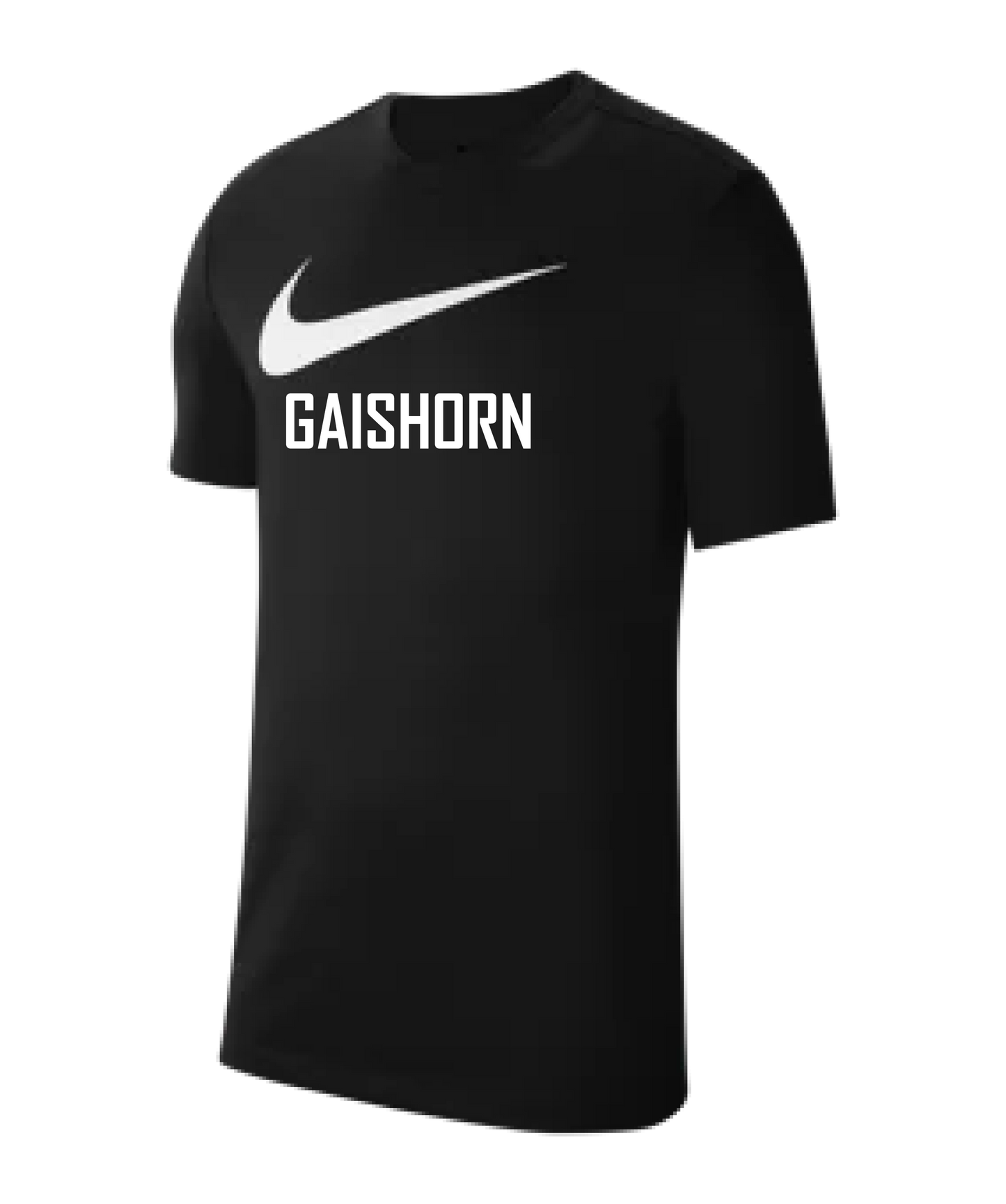 Nike Park 20 T-Shirt Swoosh-Schwarz FC Gaishorn
