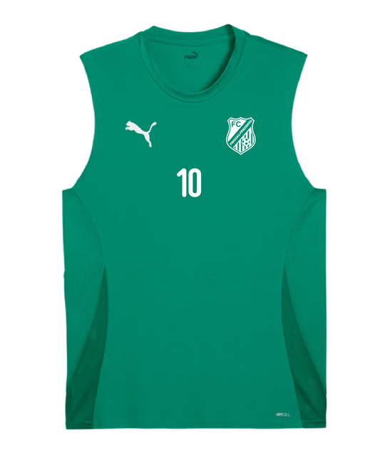 PUMA TeamGoal Tank Top Grün FC Pinggau-Friedberg Trainingsshirt Spieler