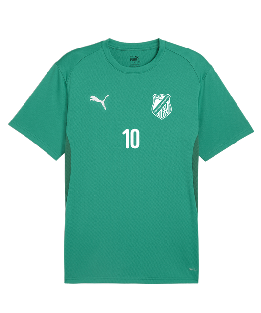 PUMA teamGOAL Trikot Kids Grün FC Pinggau-Friedberg Trainingsshirt Kinder
