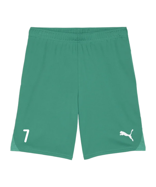 PUMA teamGOAL Short Grün Weiss Damen FC Pinggau-Friedberg