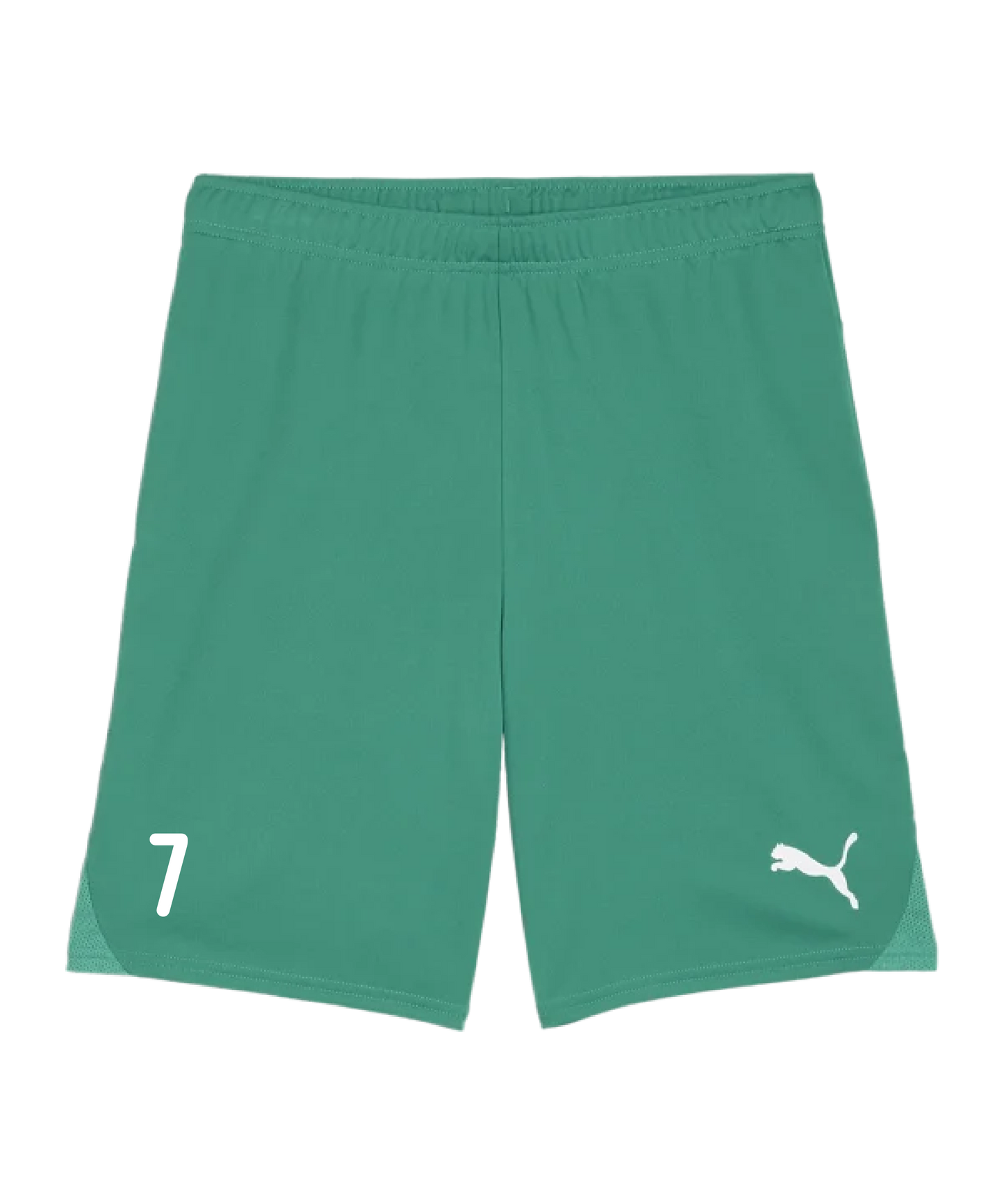 PUMA teamGOAL Short Grün Weiss Kids FC Pinggau-Friedberg