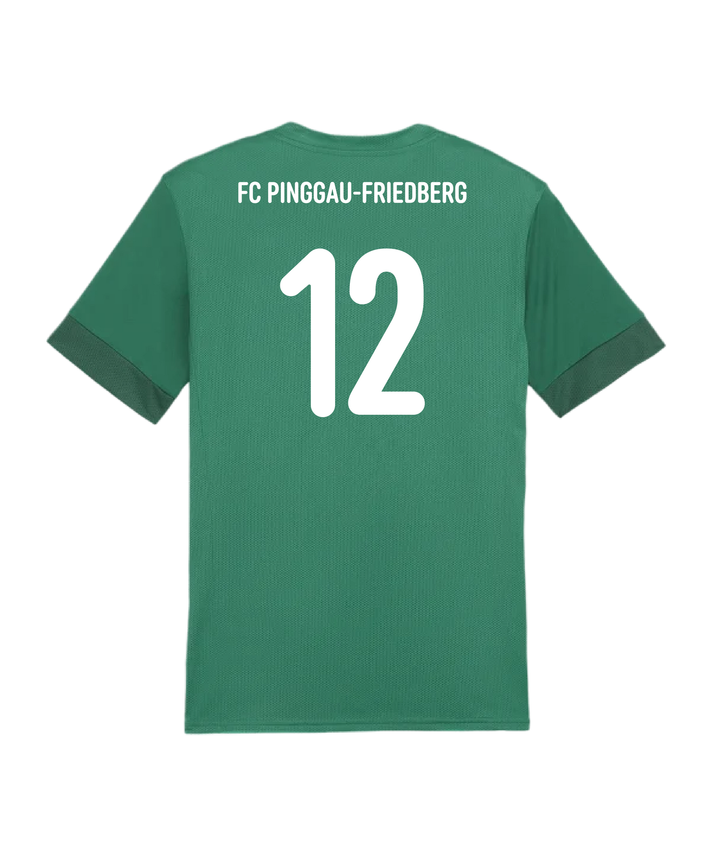 PUMA teamGOAL Matchday Trikot Kids Grün FC Pinggau-Friedberg