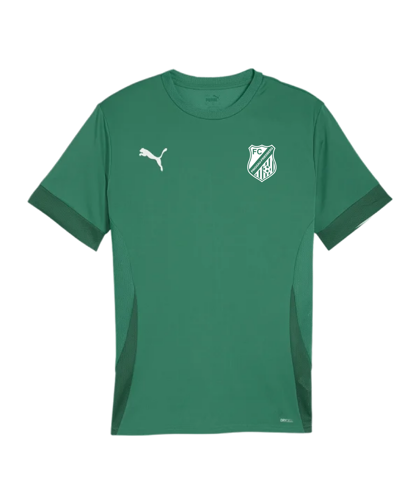 PUMA teamGOAL Matchday Trikot Kids Grün FC Pinggau-Friedberg